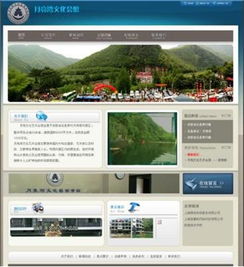 上海徐汇区田林网站建设 助力企业数字化转型首选服务商