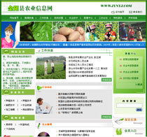京沪两地网站建设指南 企业与建设公司的差异解析